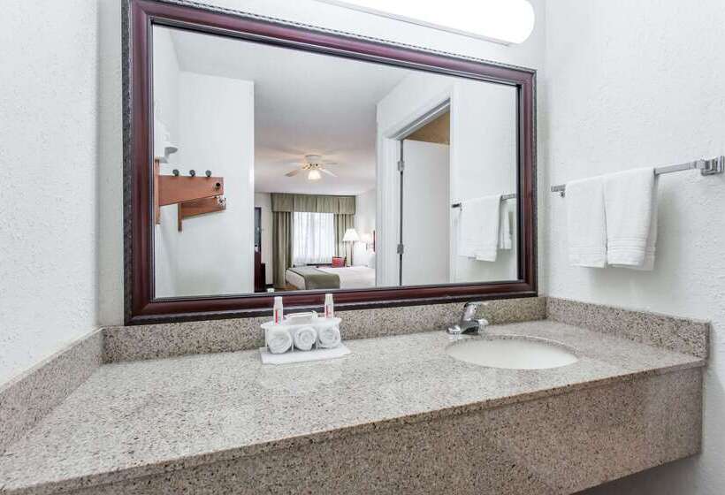 Отель Baymont Inn & Suites