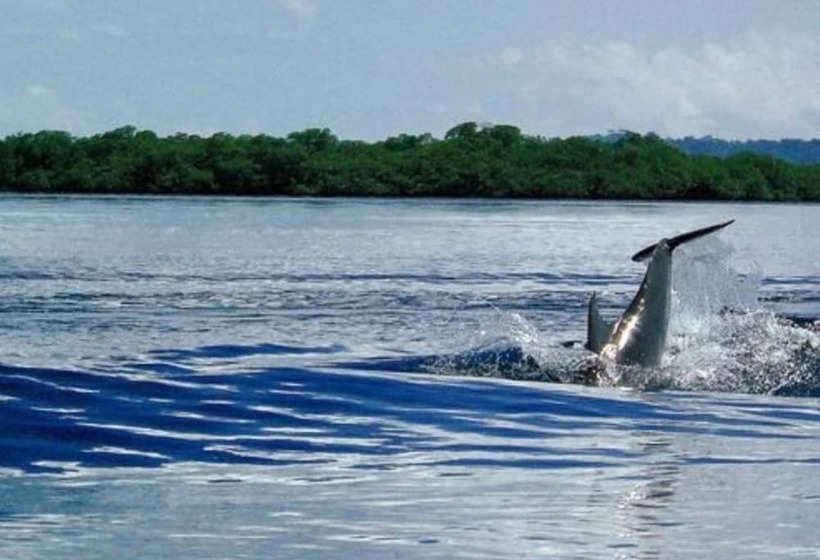 فندق Punta Caracol Acqua Lodge