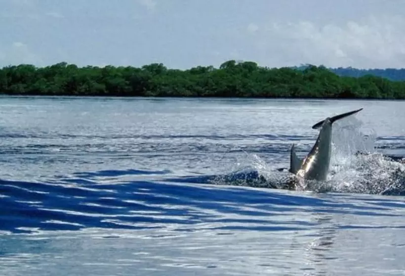 هتل Punta Caracol Acqua Lodge