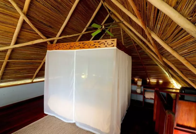 هتل Punta Caracol Acqua Lodge