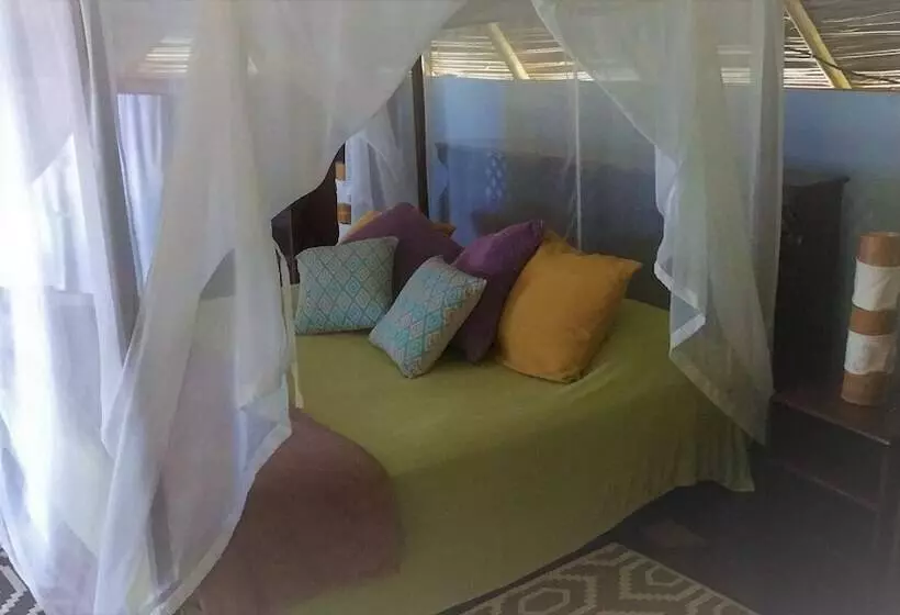 هتل Punta Caracol Acqua Lodge