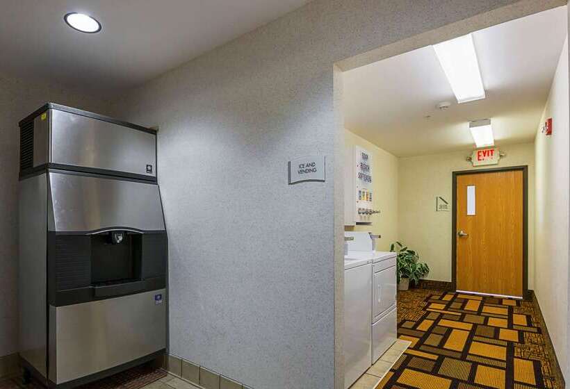 酒店 Quality Inn & Suites Belmont Route 151