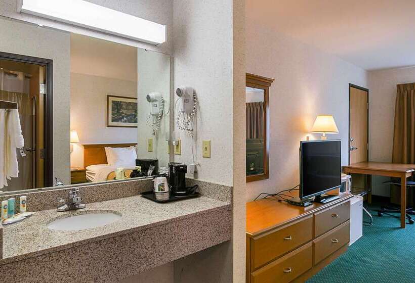 酒店 Quality Inn & Suites Belmont Route 151