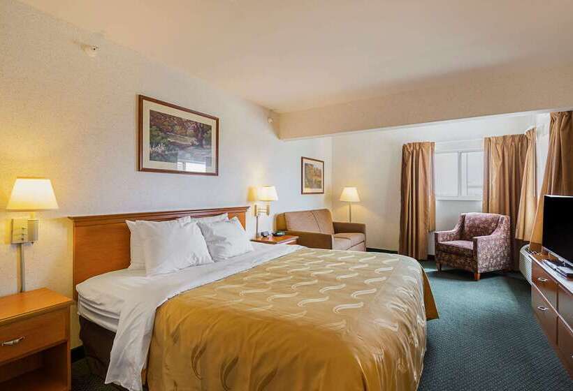 酒店 Quality Inn & Suites Belmont Route 151