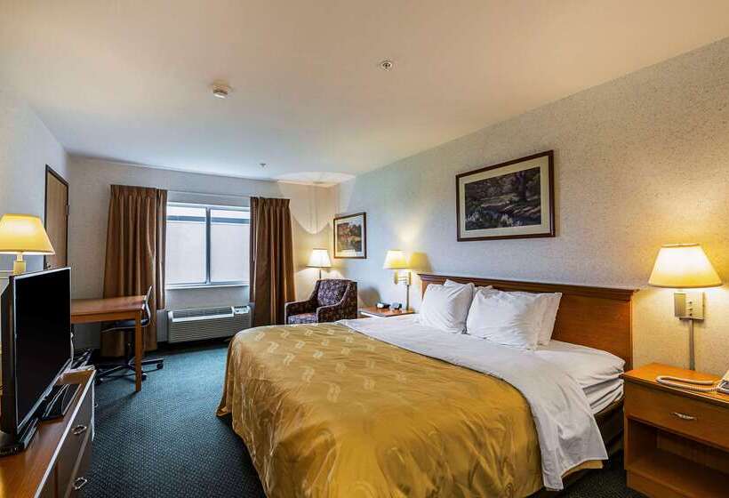 酒店 Quality Inn & Suites Belmont Route 151