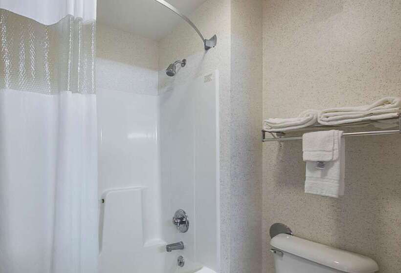 酒店 Quality Inn & Suites Belmont Route 151