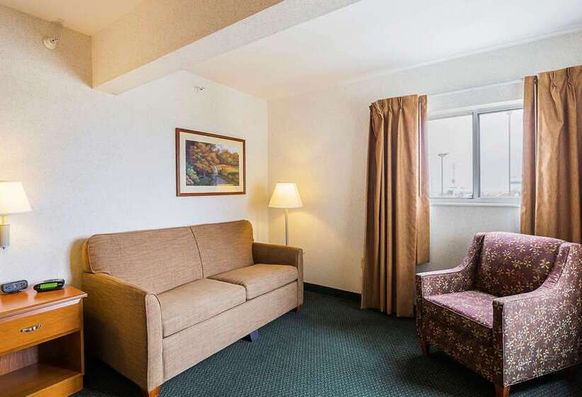 酒店 Quality Inn & Suites Belmont Route 151