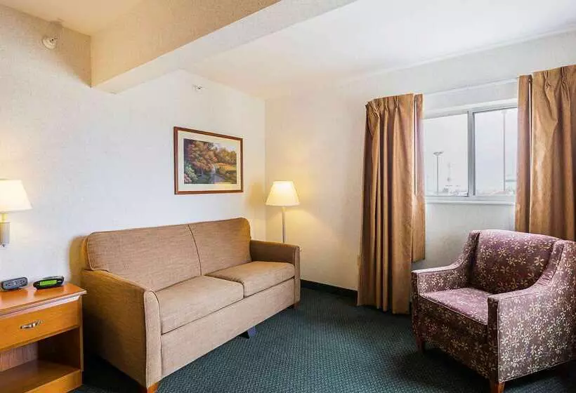 酒店 Quality Inn & Suites Belmont Route 151