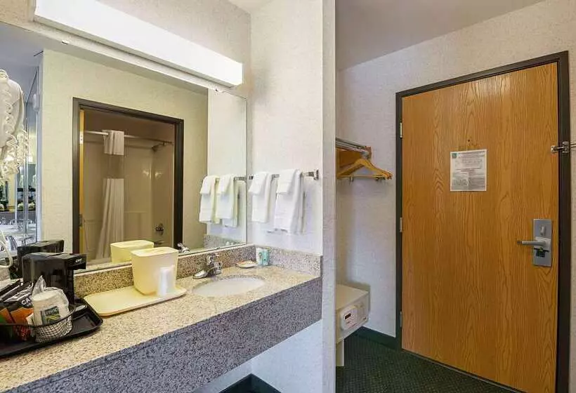 酒店 Quality Inn & Suites Belmont Route 151