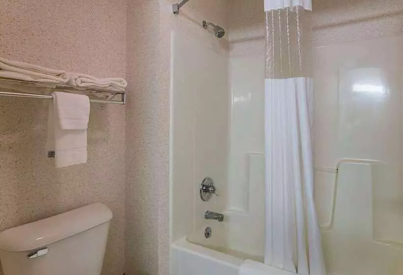 酒店 Quality Inn & Suites Belmont Route 151