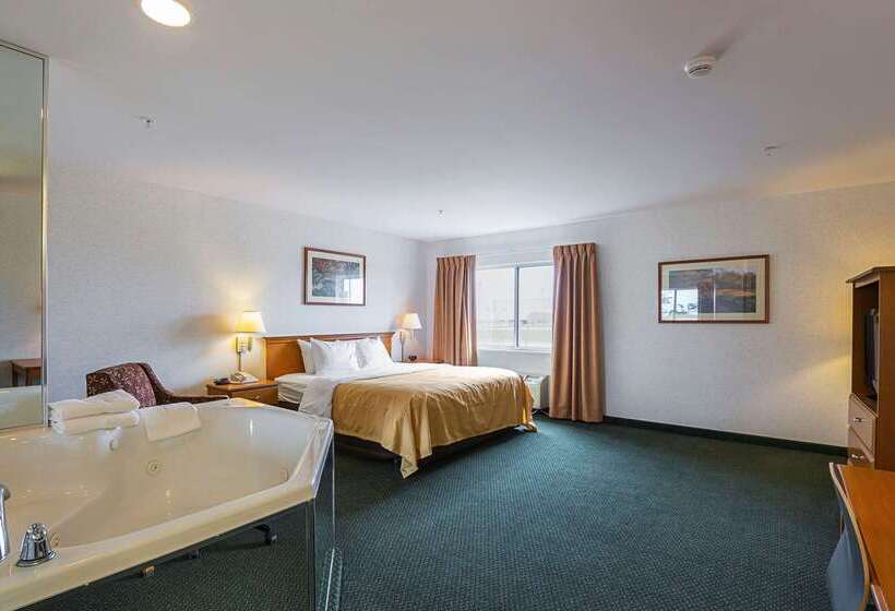 酒店 Quality Inn & Suites Belmont Route 151