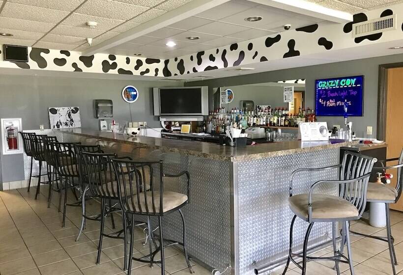 酒店 Quality Inn & Suites Belmont Route 151