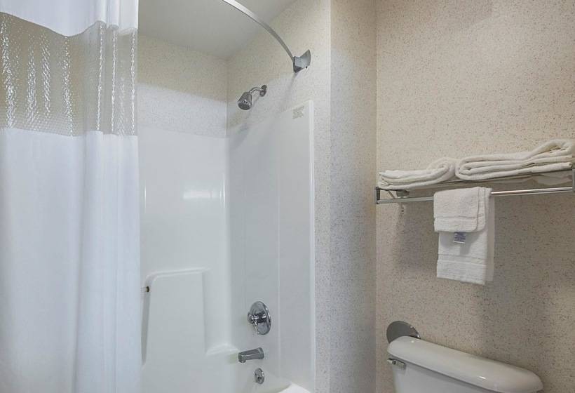 酒店 Quality Inn & Suites Belmont Route 151