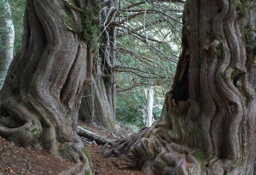 ホテル Rural Piedra Abierta