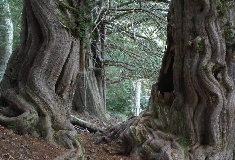 فندق Rural Piedra Abierta