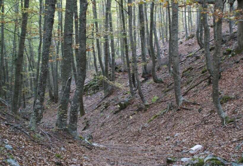 ホテル Rural Piedra Abierta