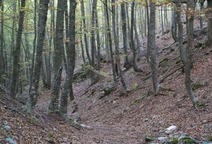 فندق Rural Piedra Abierta