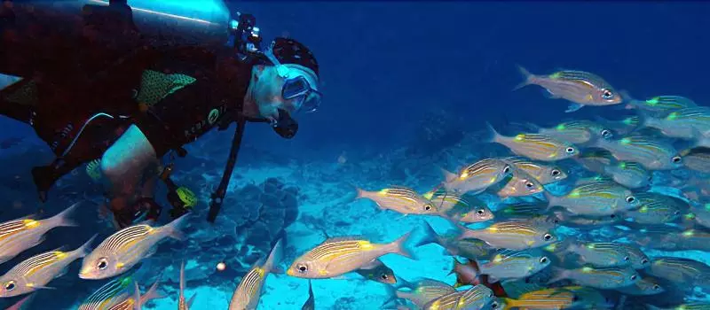 Hotel Sunshine Marine Lodge