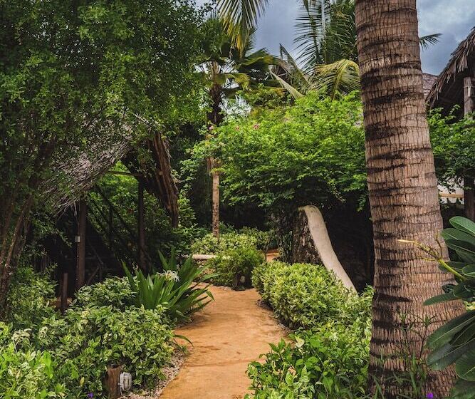 בית מלון כפרי Sunshine Marine Lodge