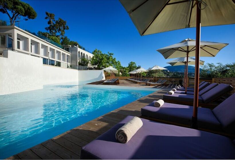 בית מלון כפרי The Royal