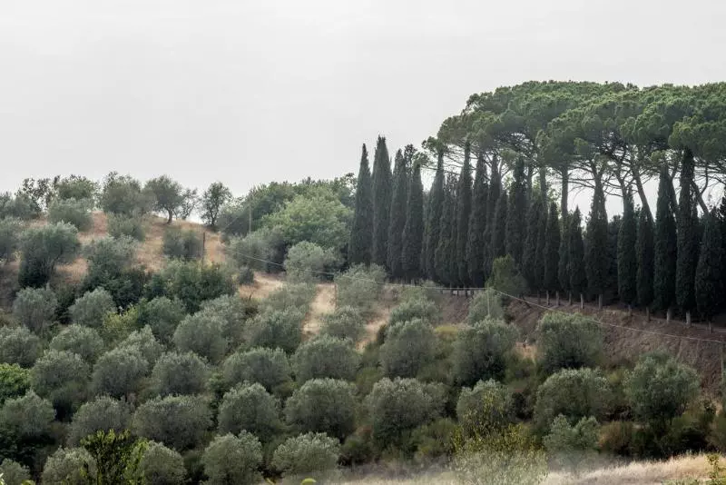 ホテル Villa Armena