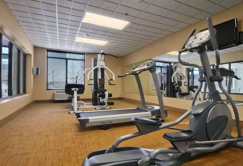 酒店 Comfort Inn & Suites Frisco East Mckinney