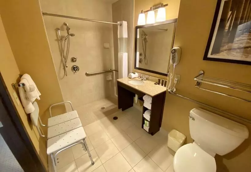 酒店 Comfort Inn & Suites Frisco East Mckinney