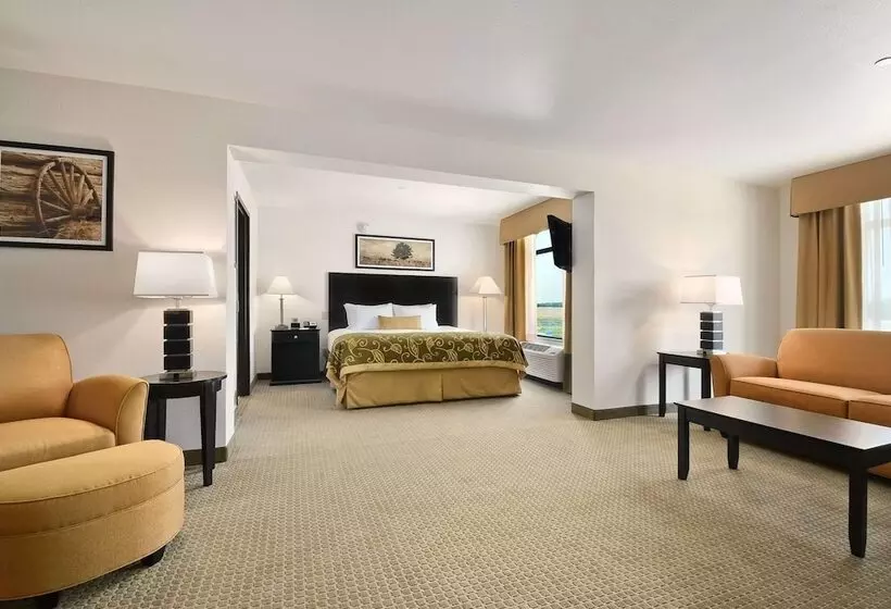 酒店 Comfort Inn & Suites Frisco East Mckinney