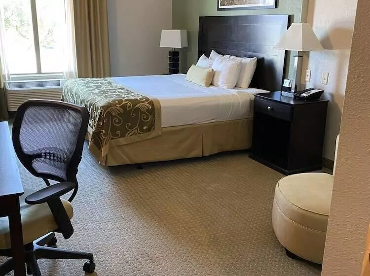 酒店 Comfort Inn & Suites Frisco East Mckinney