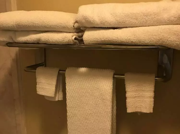 מוטל Cotulla Executive Inn