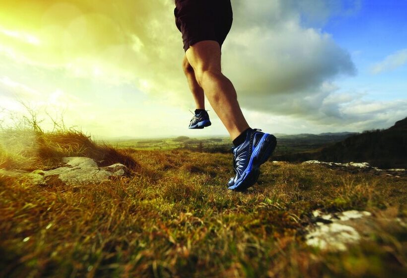 Residence Reine Marine