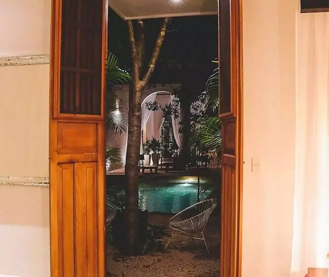 Casa De Las Palomas Boutique Hotel By Paloma S Hotels Adults Only