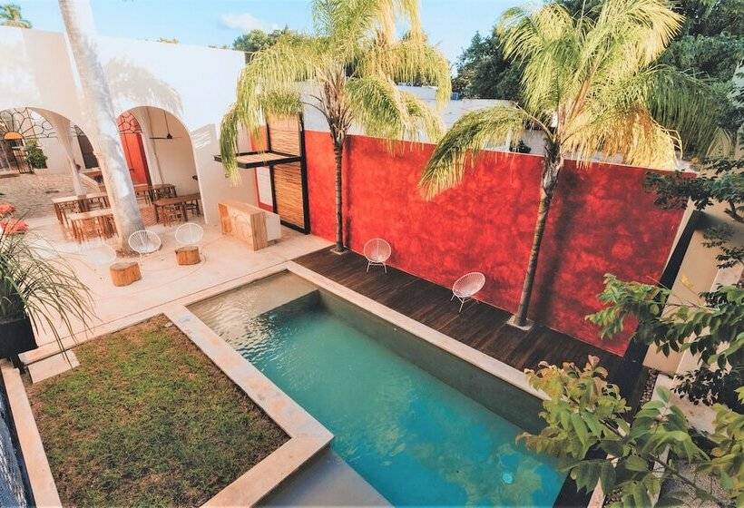 Casa De Las Palomas Boutique Hotel By Paloma S Hotels   Adults Only