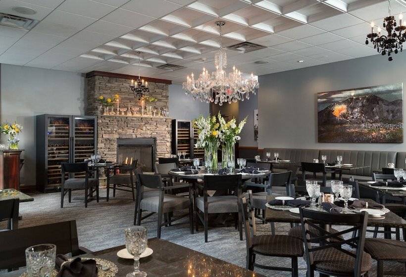 Отель Anthracite