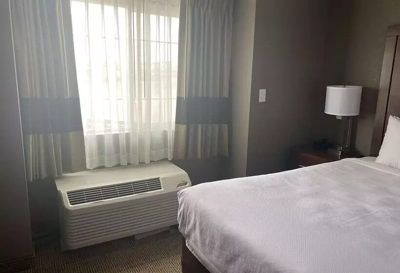 فندق Comfort Inn & Suites