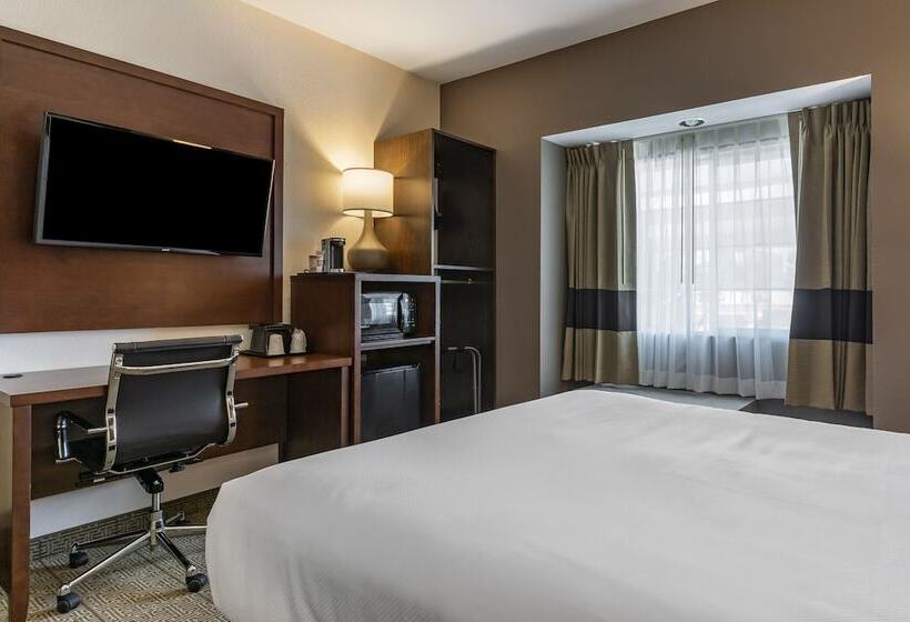 فندق Comfort Inn & Suites