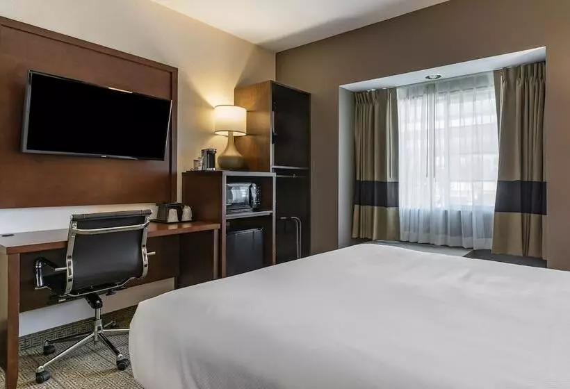 فندق Comfort Inn & Suites