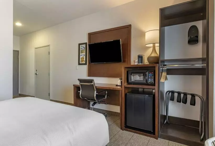 فندق Comfort Inn & Suites