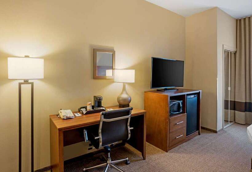 酒店 Comfort Inn & Suites Sayre