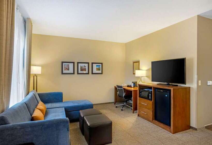 酒店 Comfort Inn & Suites Sayre