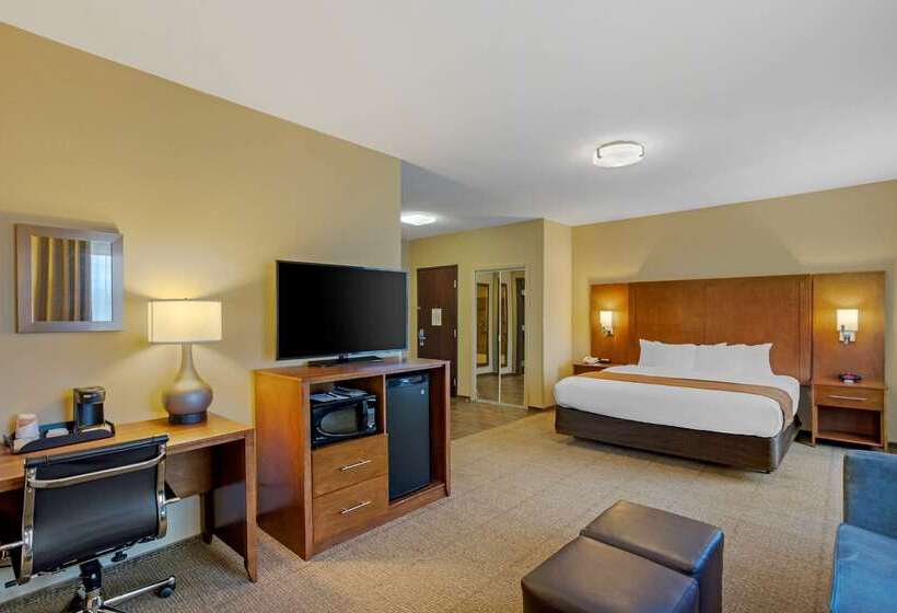 酒店 Comfort Inn & Suites Sayre