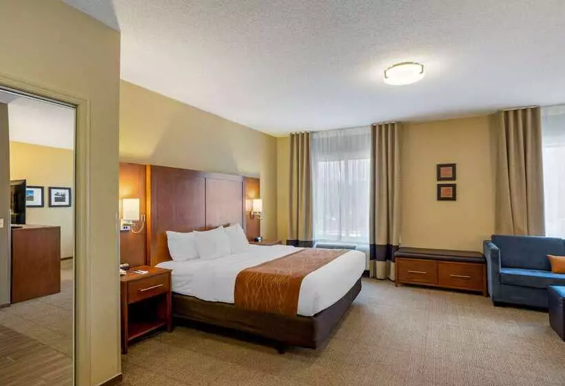 Отель Comfort Inn & Suites Sayre