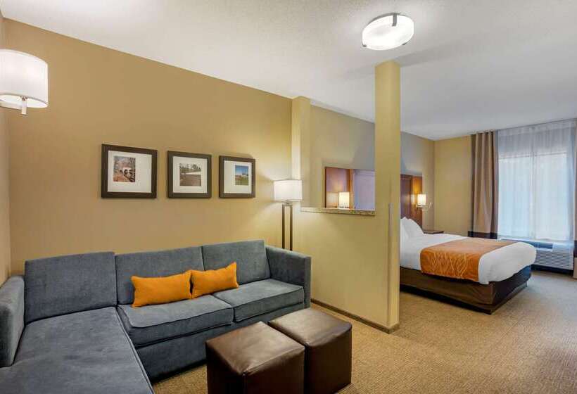 酒店 Comfort Inn & Suites Sayre