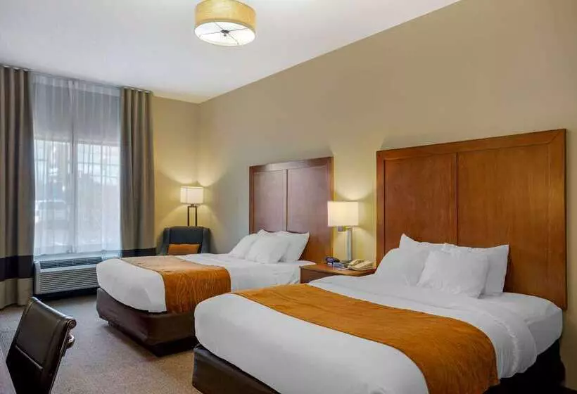 Отель Comfort Inn & Suites Sayre