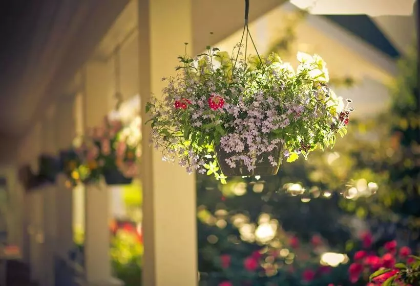 ホテル Wine Country Inn Palisade