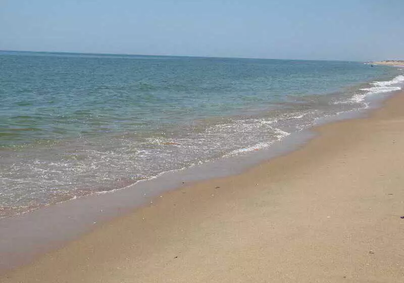 Life Apartments El Rompido