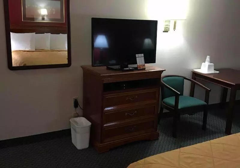 汽车旅馆  Cadillac Inn