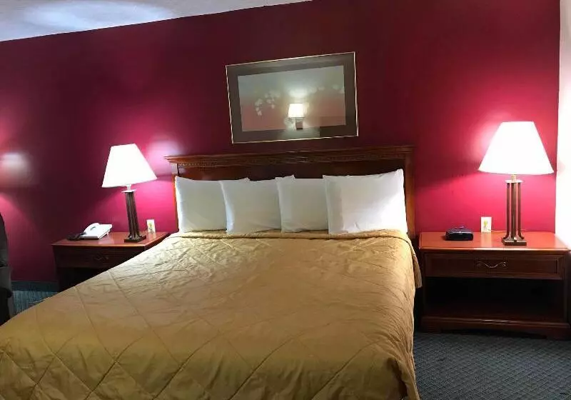 汽车旅馆  Cadillac Inn