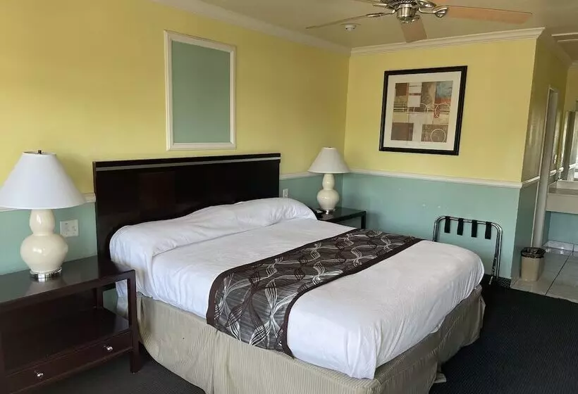 モーテル Hollywood Guest Inn