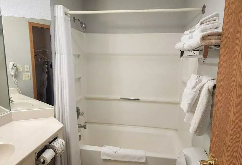 モーテル Windsor Place Inn